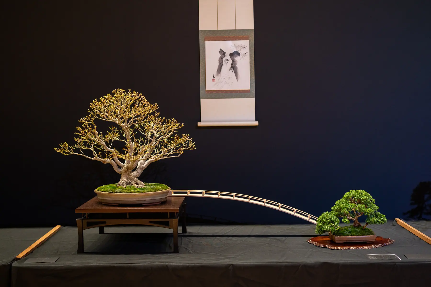 Japanese Maple, Boxwood bonsai display by Paul & Dodie Newman